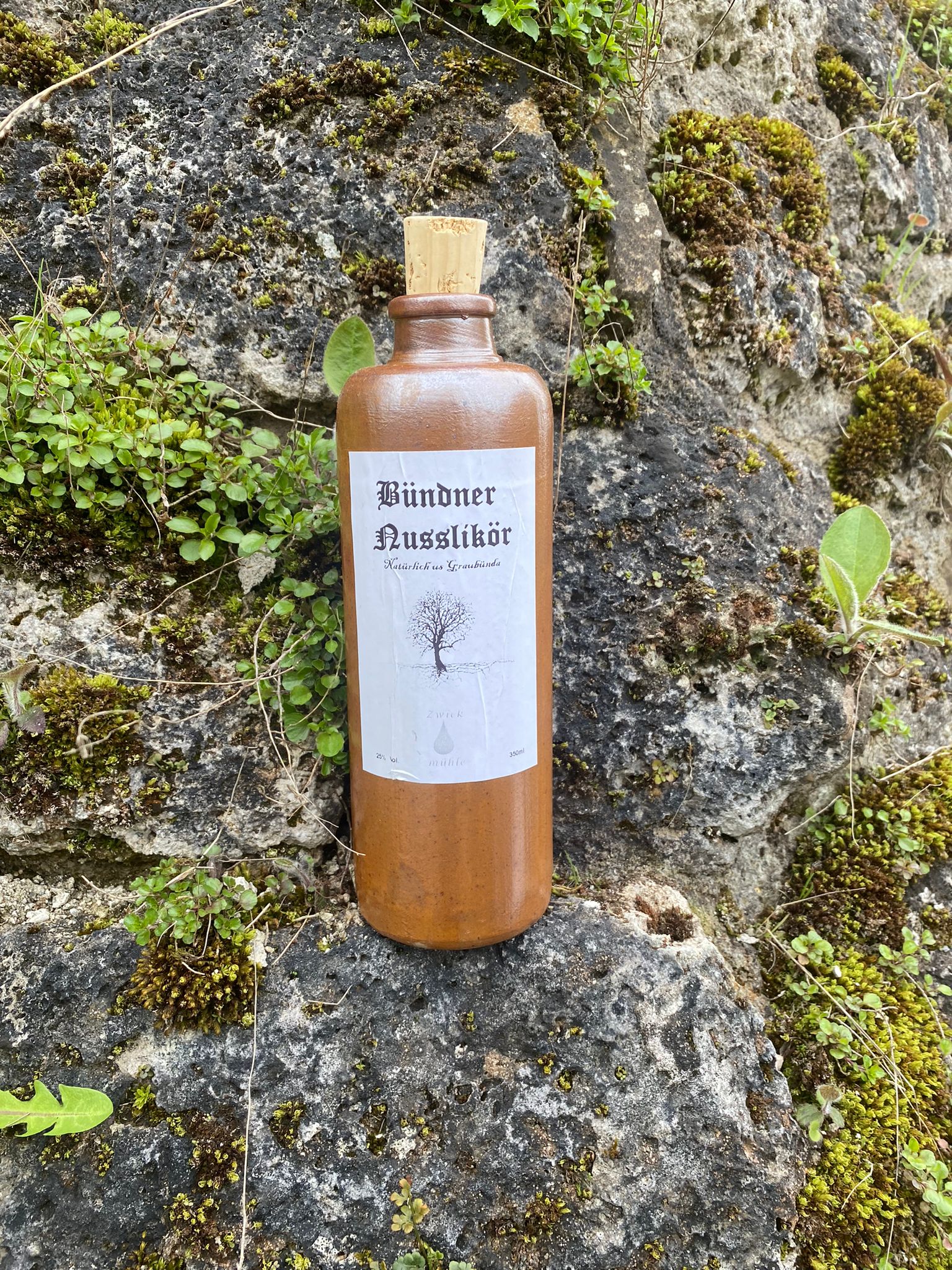 Bündner Nusslikör – Zwick Mühle Bündner Nusslikör – Zwick Mühle