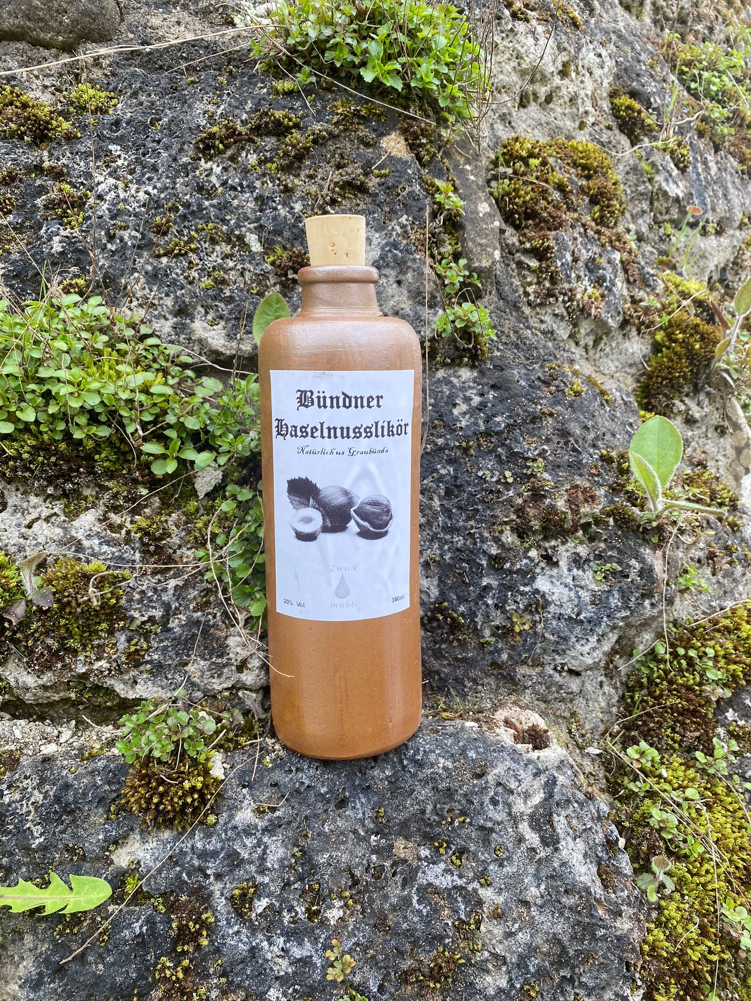 Bündner Haselnusslikör – Zwick Mühle Bündner Haselnusslikör – Zwick Mühle